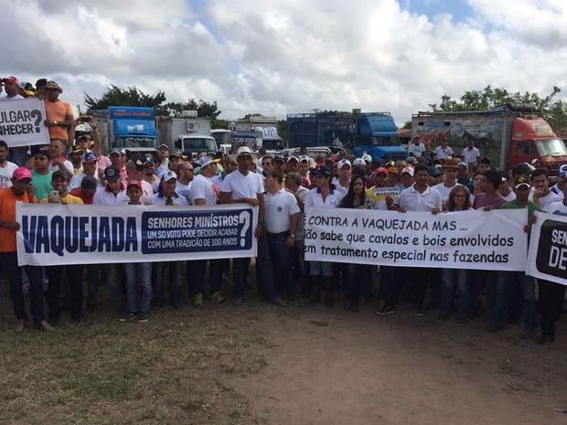 Vaquejada ainda não foi proibida na Bahia (Foto: Renata Maia/ TV Subaé)