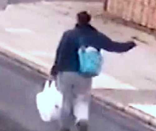  Odessa Carey, de36 anos, é suspeita de ter matado e decapitado a própria mãe, de 73 anos (Foto: Reprodução)